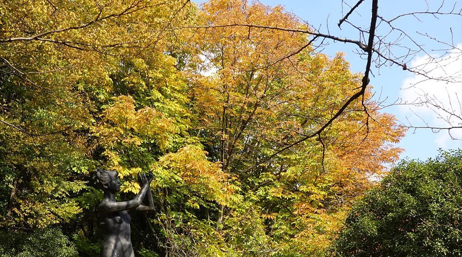 🏞️ 미도리가오카 공원 (미도리가오카 코엔) 이미지 1